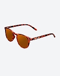 Hawkers WALL SHINE TORTOISE - AMBAR POLARIZED h150