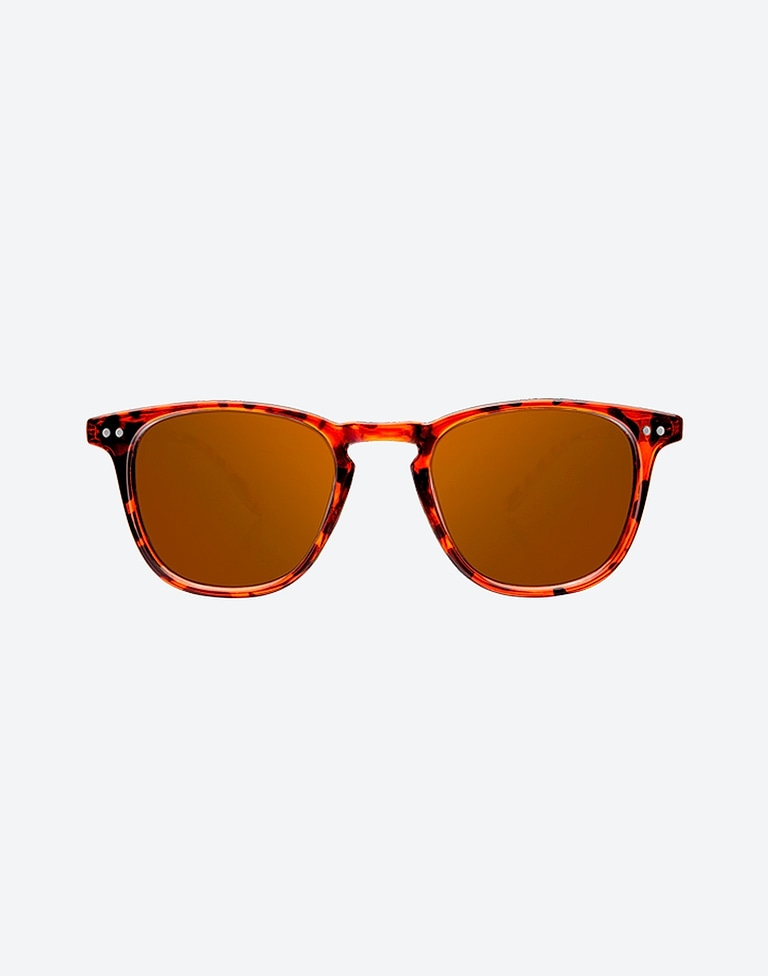 Gafas de sol Northweek WALL SHINE TORTOISE - AMBAR POLARIZED