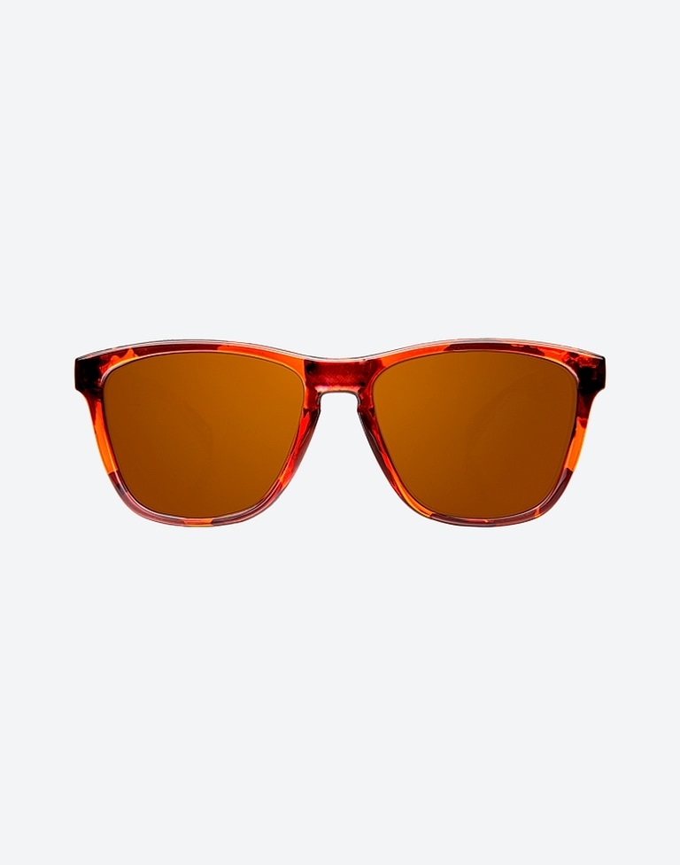 Gafas de sol Northweek REGULAR TORTOISE